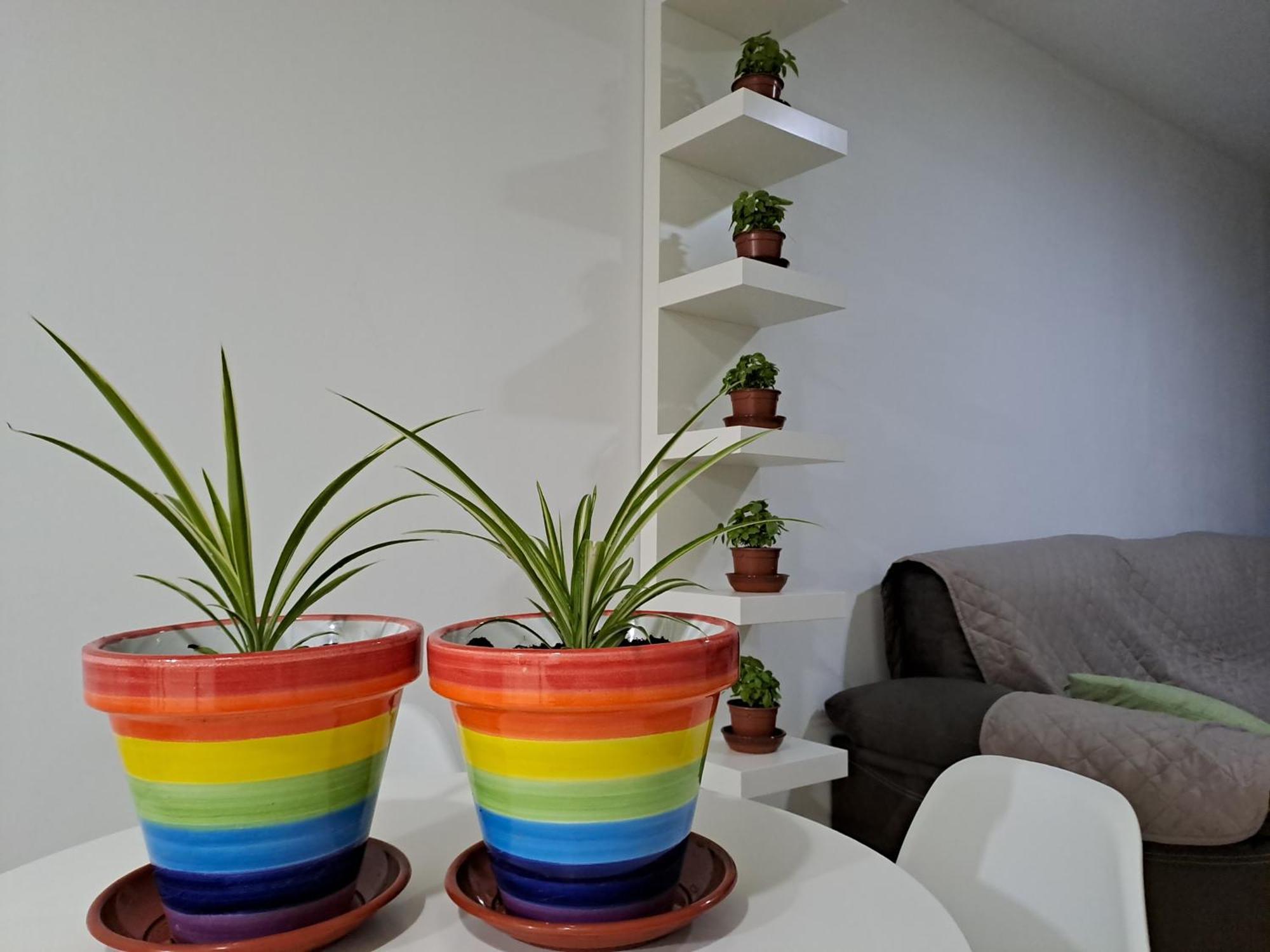 Apartamento Toyo, Parque Natural Cabo De Gata Διαμέρισμα Αλμερία Εξωτερικό φωτογραφία